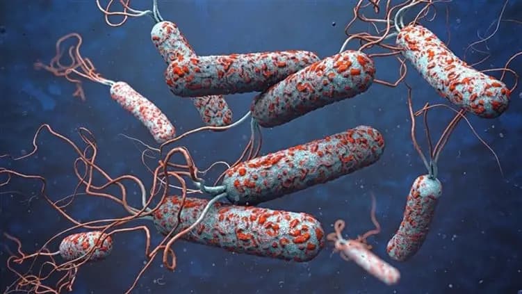 ماذا سجّل عدّاد الكوليرا اليوم؟