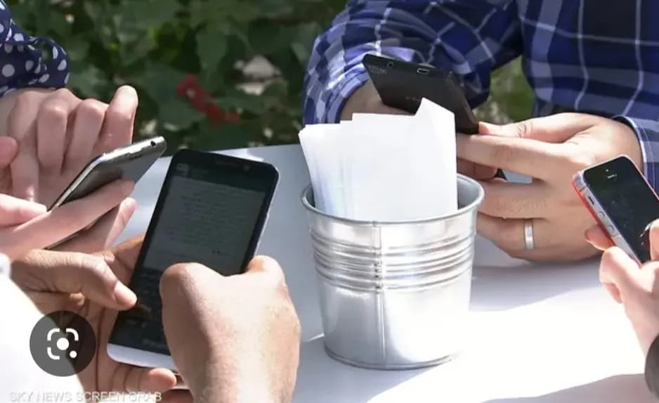 أساور ذكيّةٌ وتطبيق يسهّل تربية الأبقار على مزارعي تونس