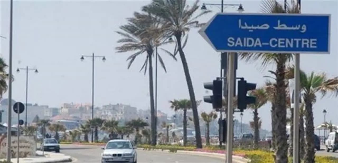 إنقلاب فان مخصص للركاب في صيدا!