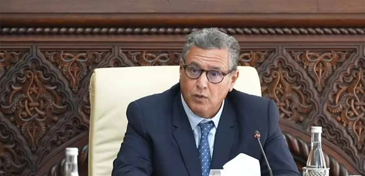 رئيس وزراء المغرب يرفع دعوى ضد نائب أوروبي.. لماذا؟
