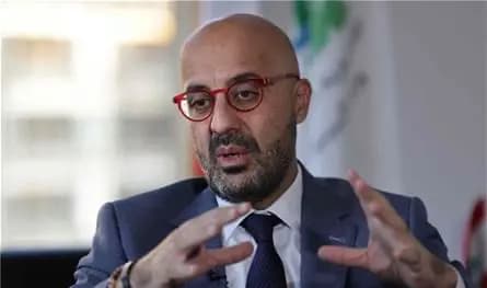 الطيور مشكلة المطار!