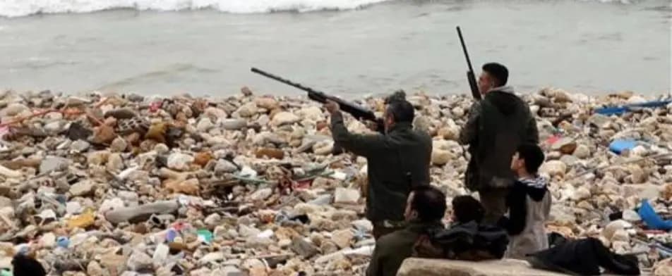 الطيور تطوّق مطار بيروت: بنادق الصيّادين أم الحلول البيئية؟