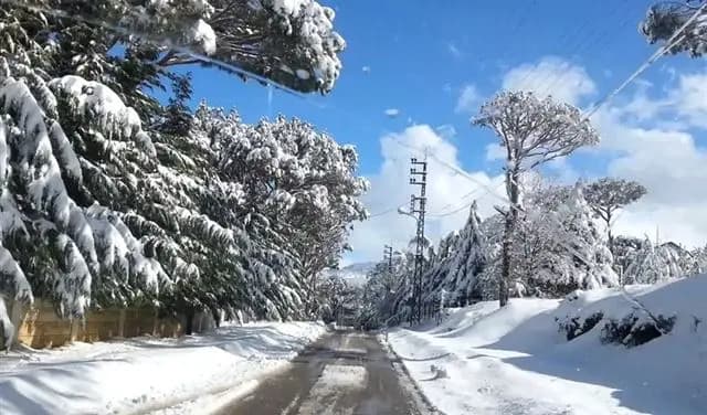 أمطار غزيرة ترافقنا في الأيام المقبلة.. ماذا عن الثلوج؟