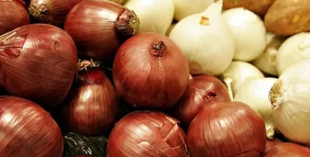 البصلُ يلامسُ الـ70 ألفَ ليرة... والسبب؟