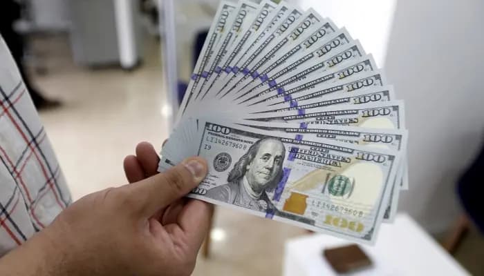 عن أسعار الدولار.. هذا ما قاله أحد الخبراء!