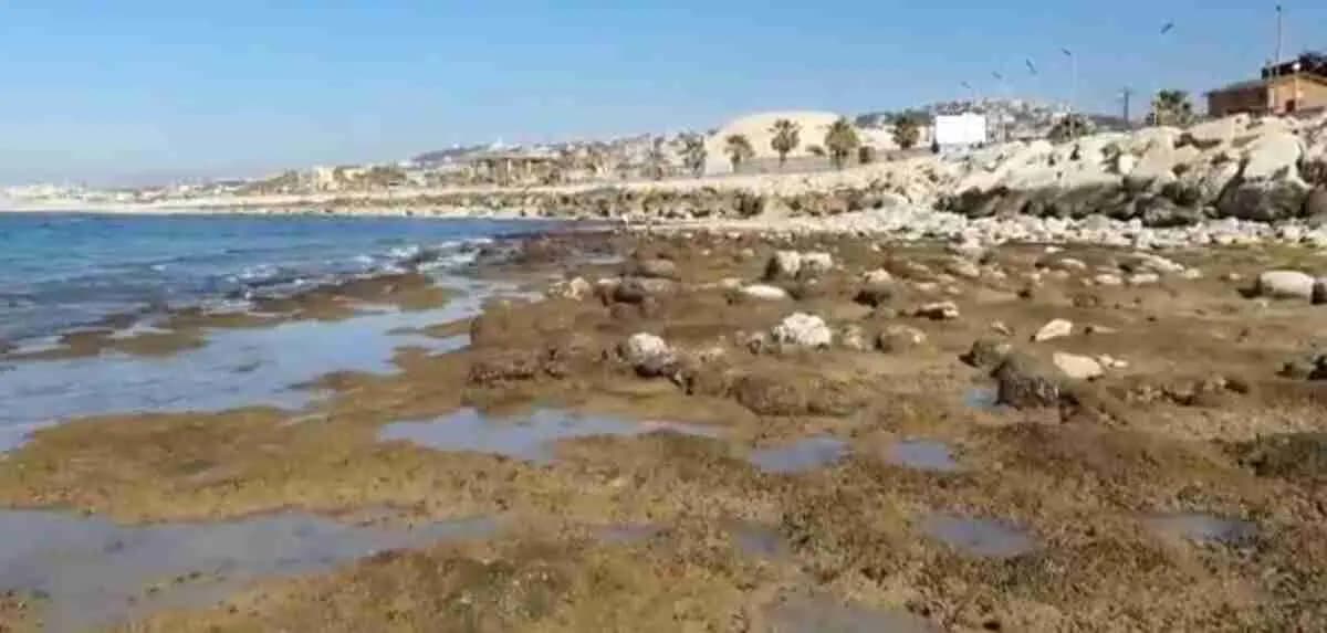 ما حقيقةُ إنحسارِ مياهِ البحر في الجنوب؟