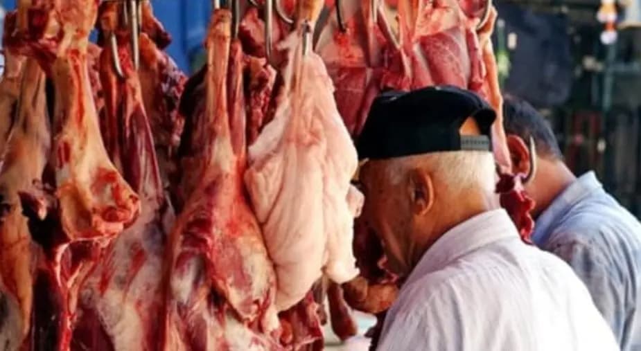 إهمالٌ في مسلخٍ في بعلبك.. وتدخُّل المحافظ