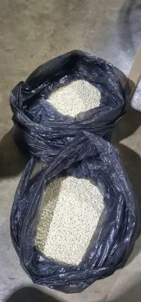 حاولَ تهريبَ 160,000 حبةِ "كبتاغون" فكشفتهُ شعبةُ المعلومات