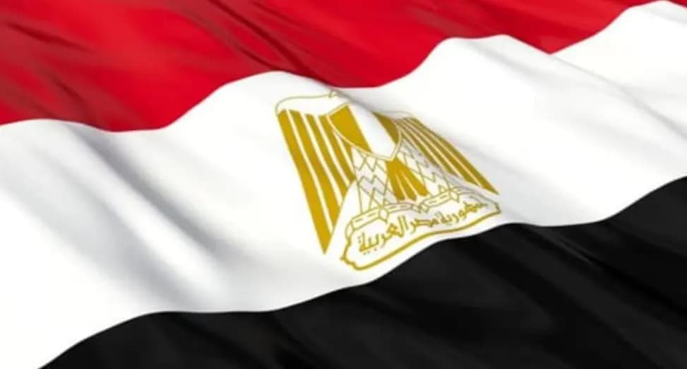 الأمنُ الغذائيّ محورُ لقاءاتِ السيسي