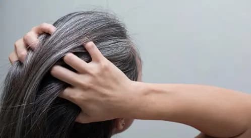 الشيب وقار أو… الفريش دولار