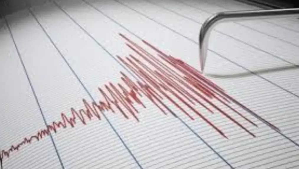 بعد الهزة... نمر يعلّق!