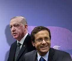 إردوغان وهرتسوغ و"نقش سلوان"