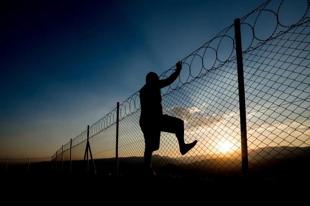 بفرشاة أسنان.. هروب سجينين لغاية غريبة!