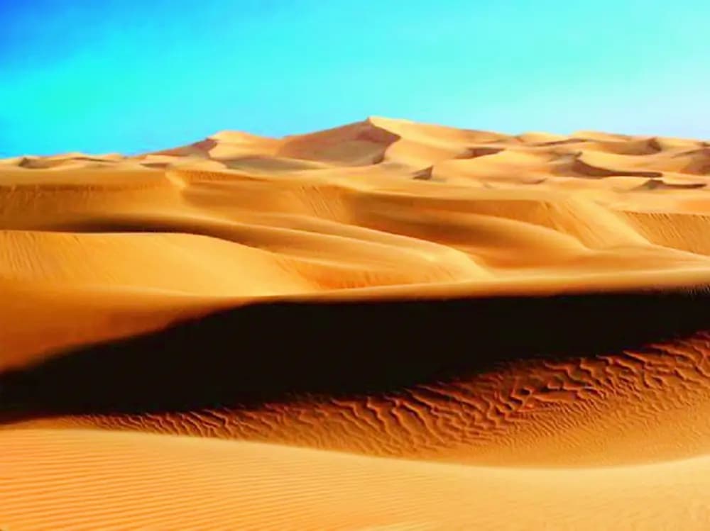 شاب سعودي يحوّل التراب إلى ذهب!