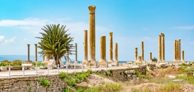 أصاب نفسه بطلقٍ ناري عن طريق الخطأ!