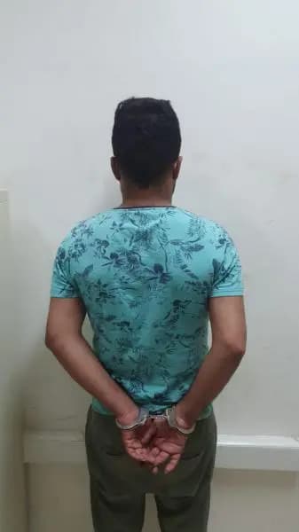 سرقة تحف أثرية.. في بيت مري!