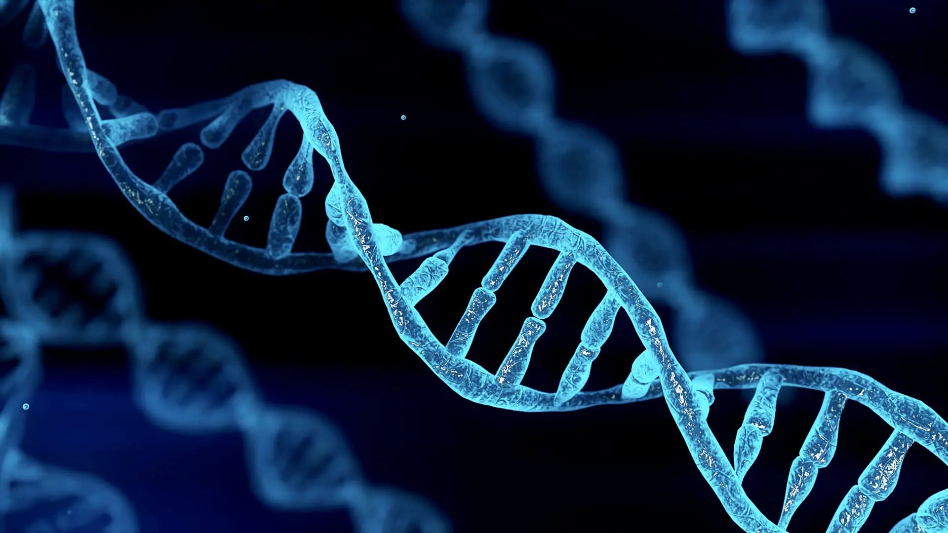مفتي مصر يصدر فتوى متعلقة بالـ DNA