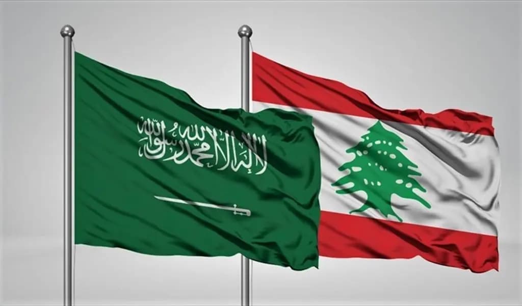 المولوي يلتقي السفير السعودي
