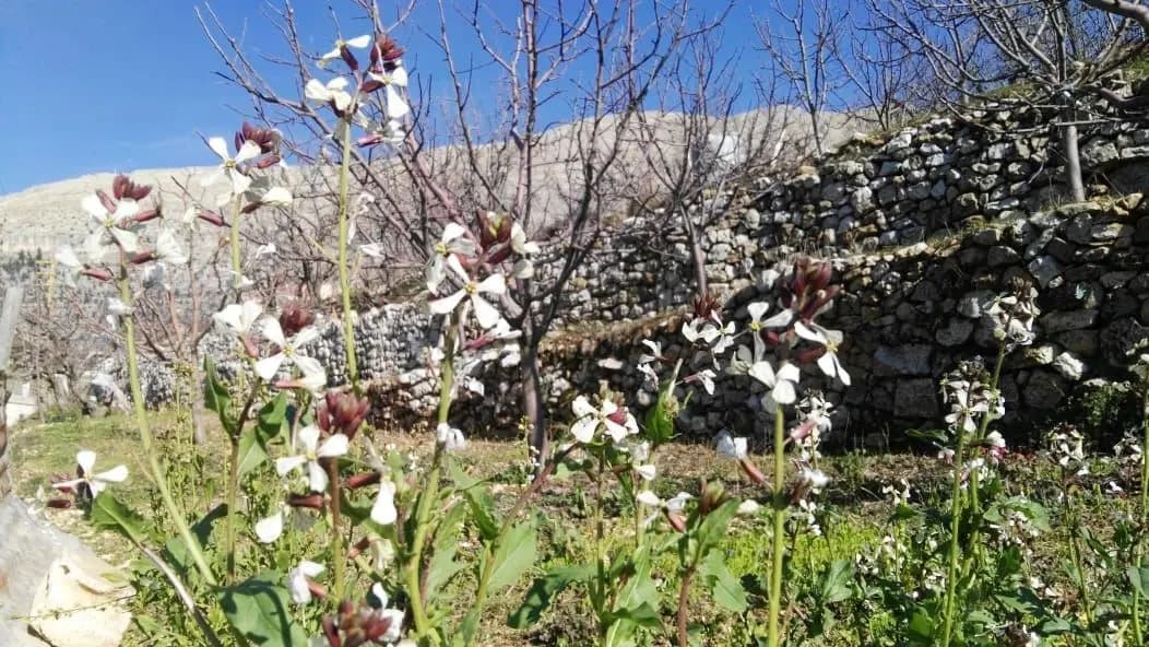 حالة الطقس آخر أيّام الربيع