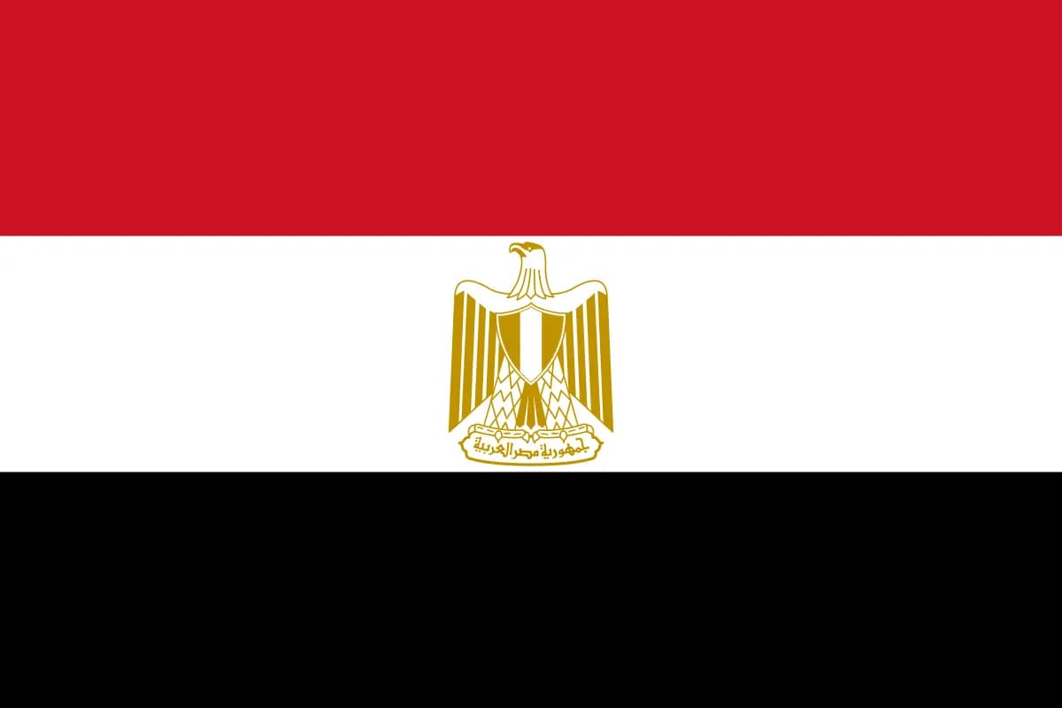 ١٥ قتيلاً في مصر … إليكم التفاصيل!