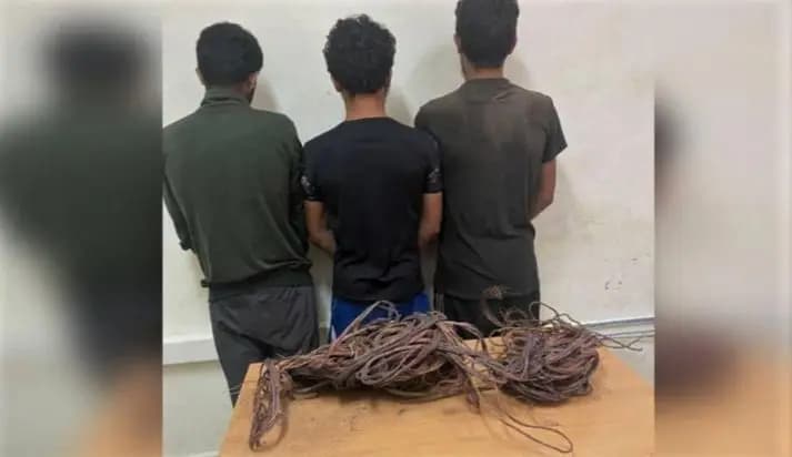 عصابة سرقة في قبضة الأمن