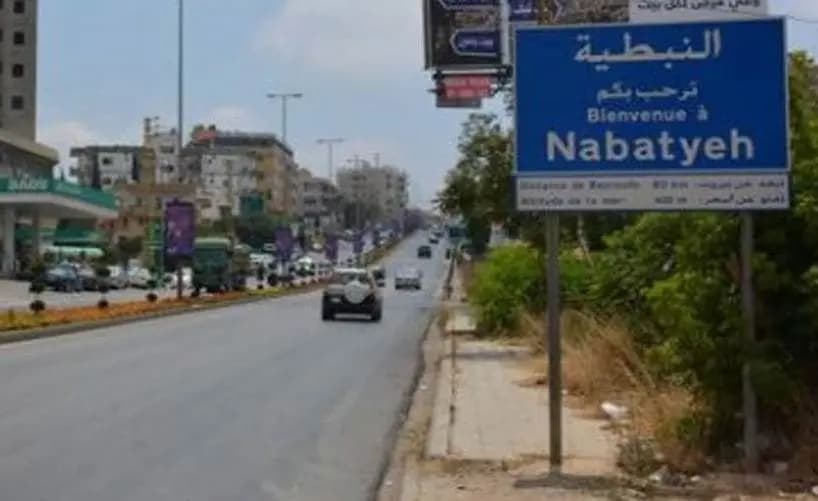 دهسُ شابٍ في النبطية