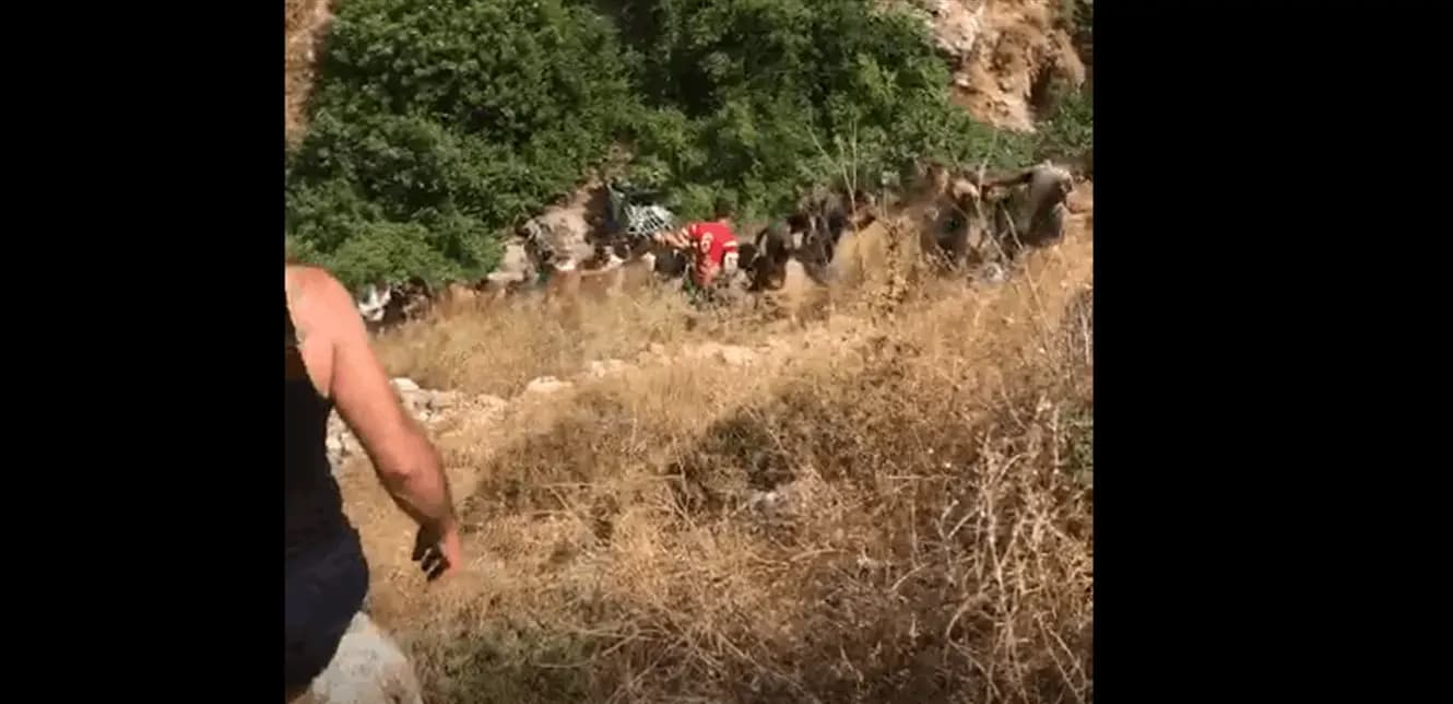 وفاة بتدهور شاحنة في صور