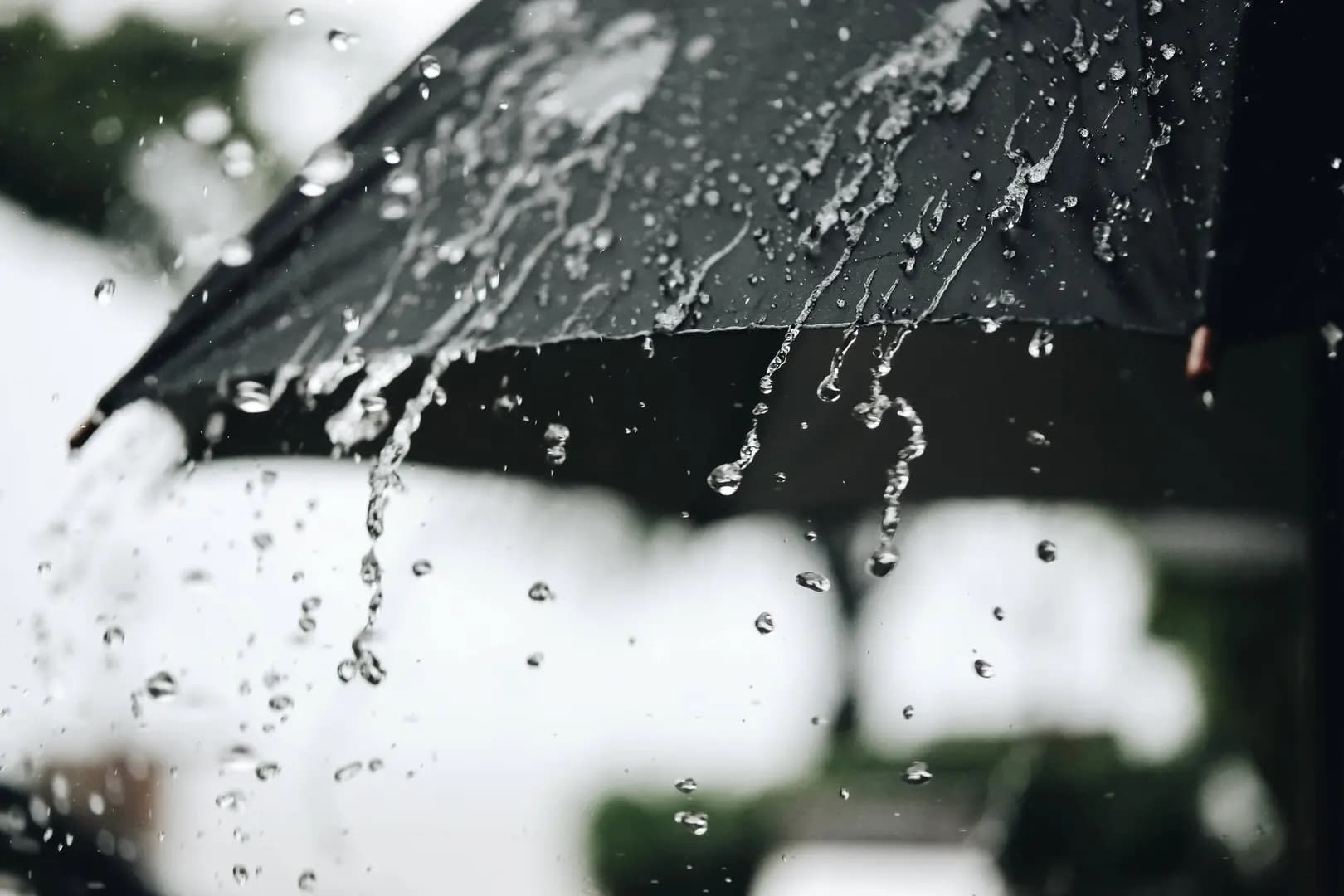أمطار وضباب ورياح.. قريباً!!