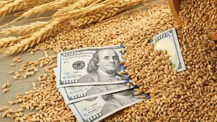 هل تؤثّر أزمة القمح العالمية على لبنان؟