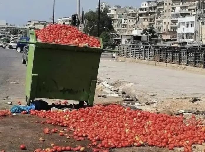 بالصورة- الأسعار "نار" والبندورة في "الزبالة"
