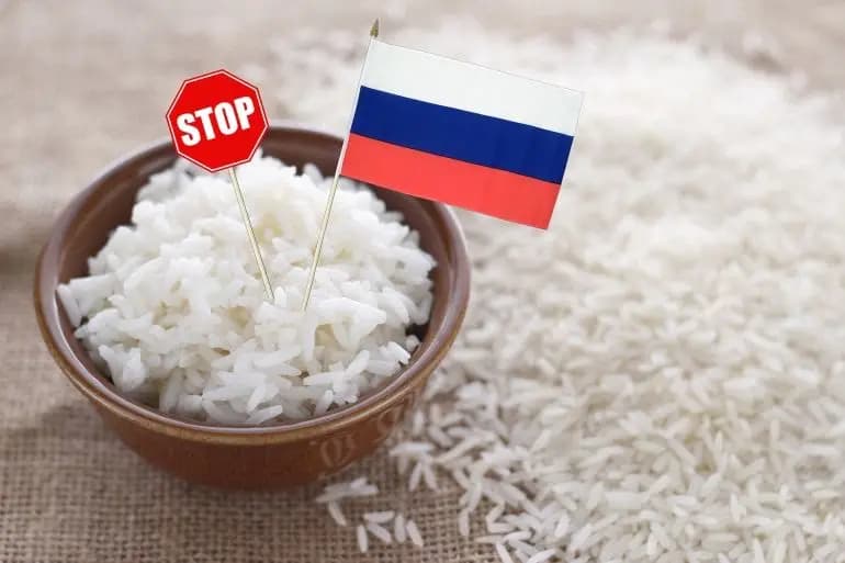 رسميًا.. روسيا تحظر تصدير الأرز