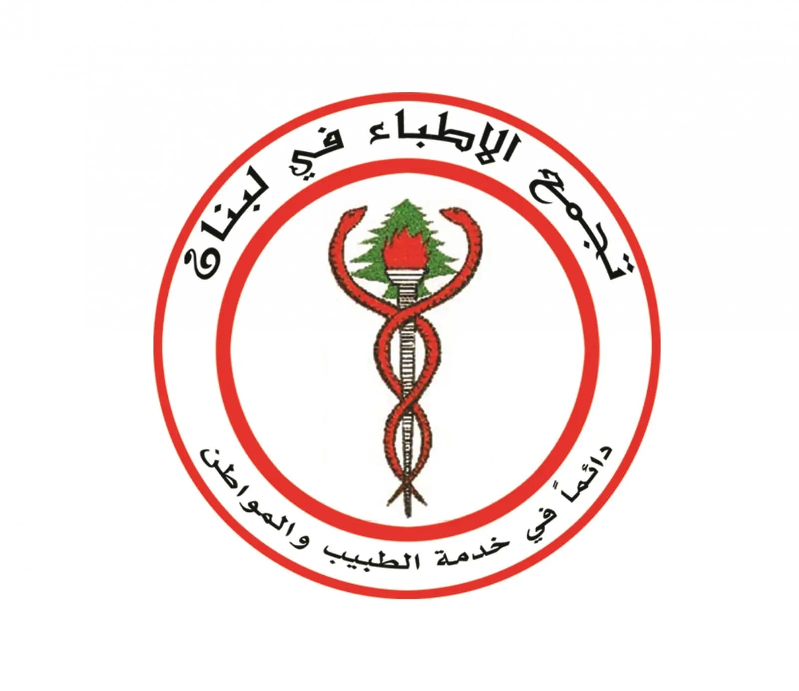 بعد الاعتداء على الدكتور سعيد شعبان.. "تجمّع الأطبّاء" يستنكر