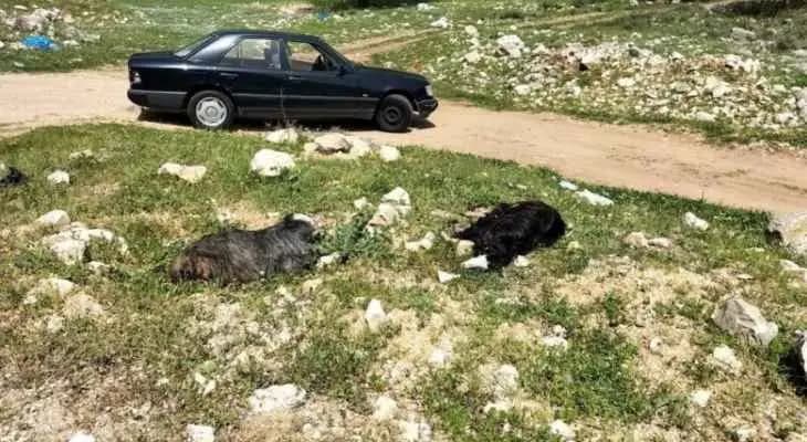 انفجار قنبلة عنقودية من مخلفات الجيش الإسرائيلي