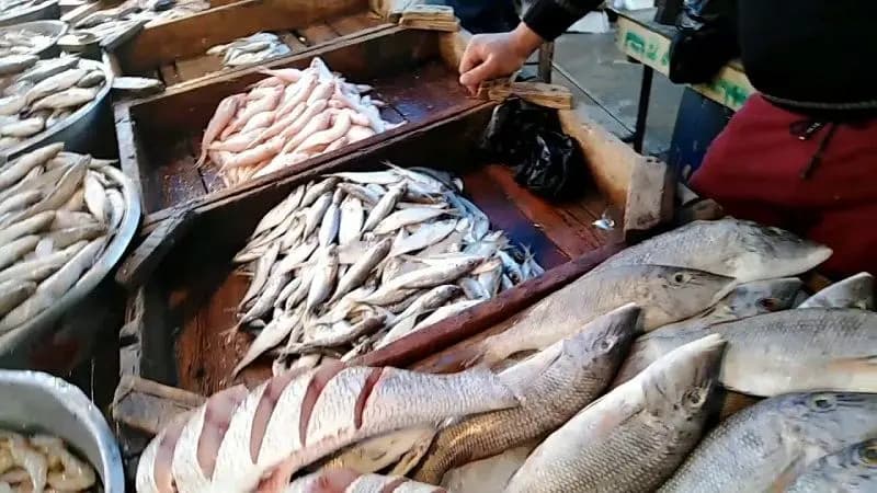 منعُ بسطاتِ السّمك المجلّد في صيدا