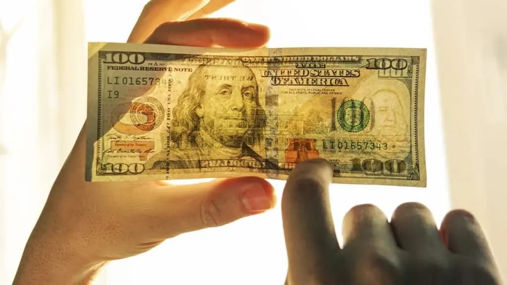 مئة دولار مزوّرة.. توقيف صاحبها في شبعا