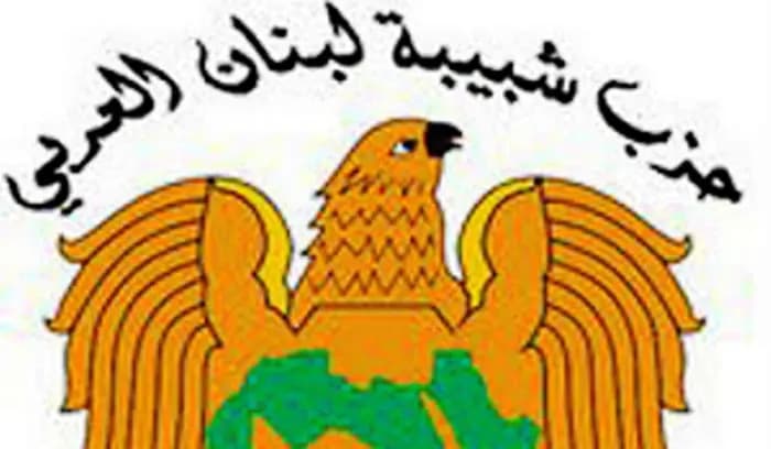 حزب شبيبة لبنان العربي: الانتخابات المقبلة مفصلية بتاريخ لبنان