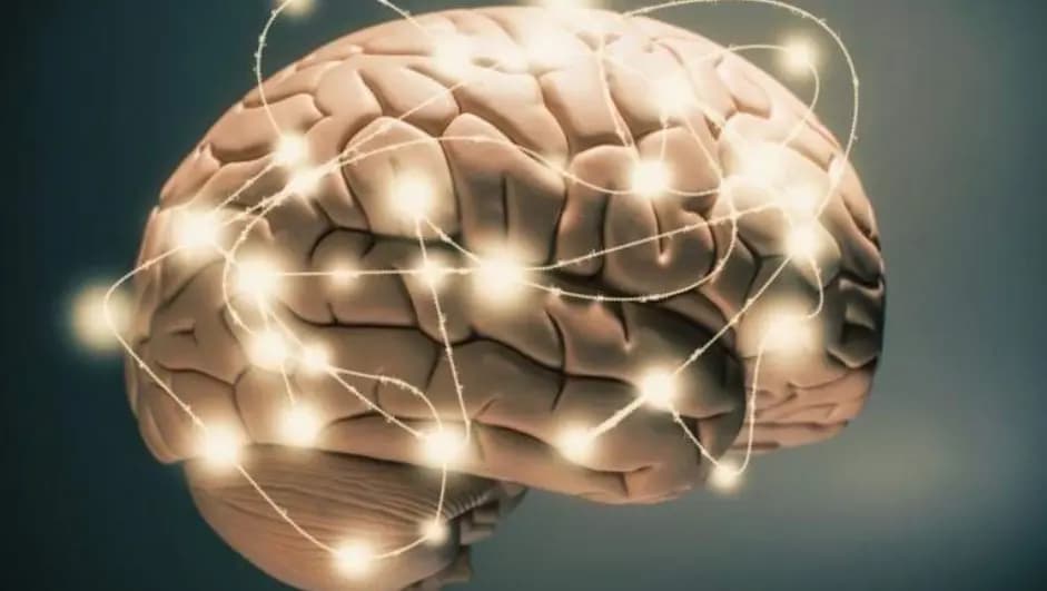 هل ينقذ الفطر دماغ الإنسان من الاكتئاب؟