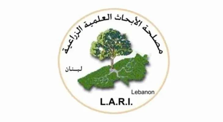 مصلحة الابحاث العلمية الزراعية: الأراضي الزراعية كافة صالحة لزراعة القمح الطري المستعمل في صناعة الخبز