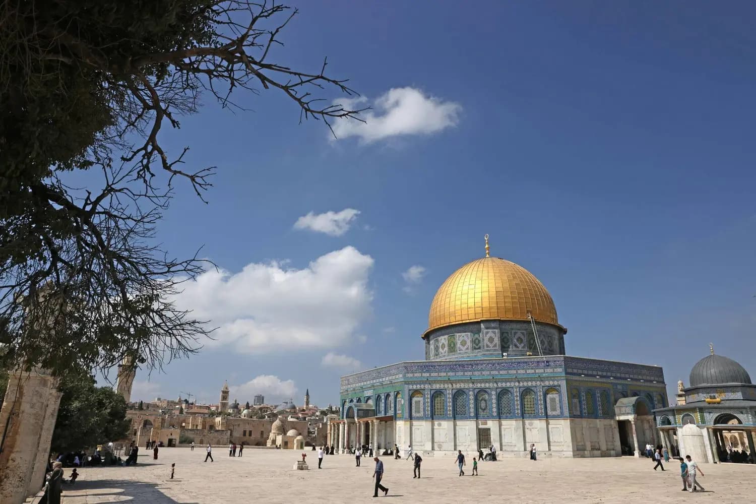 عمليةُ "طوفـ.ـان الأقصى".. فلسطينُ تنتصر وتثـ.ـأر