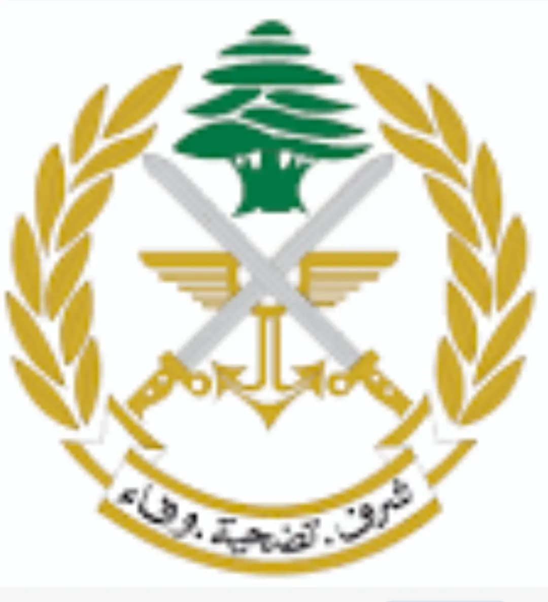 الجيش: طيران ليلي للقوات الجوية فوق قواعدها