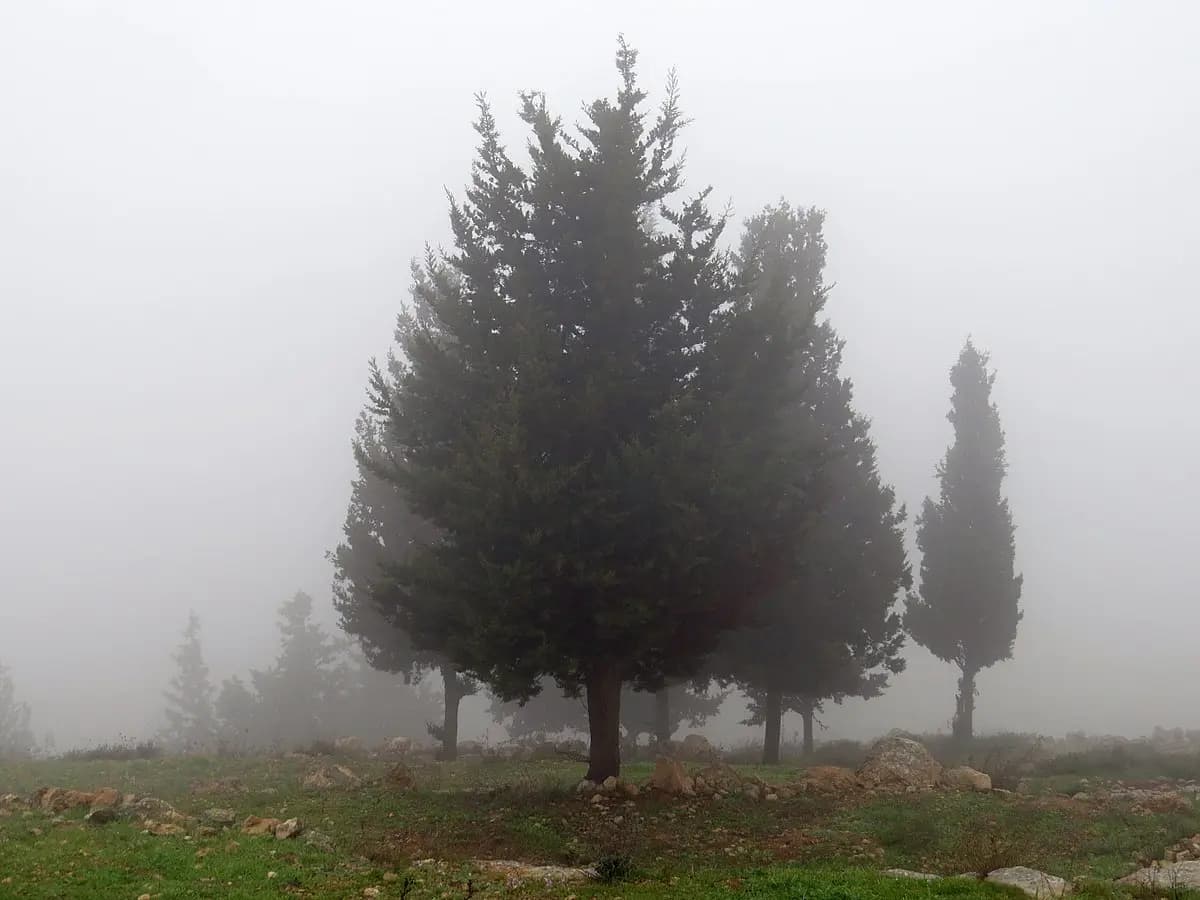 اليكم حال الطقس في لبنان
