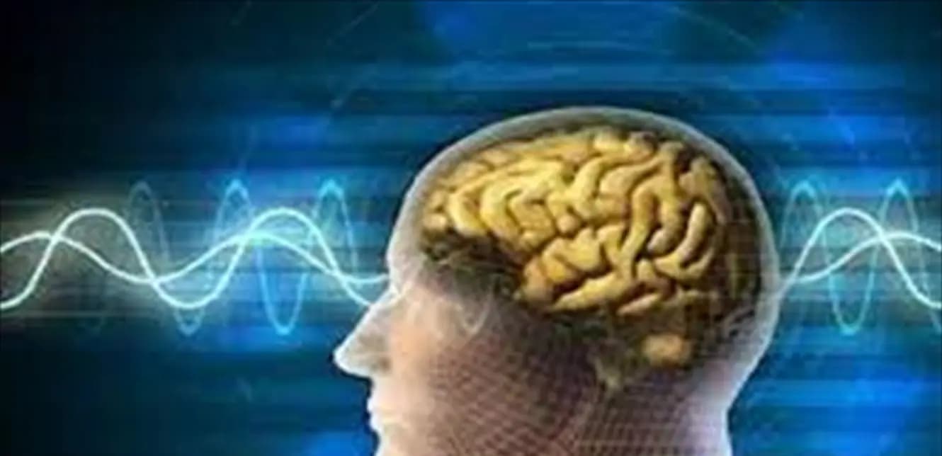 فاكهة تساعد على الاهتمام بصحة العقل… ما هي؟