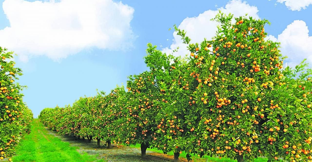 مناخ لبنان في العام 2080: انتظروا الأسوأ